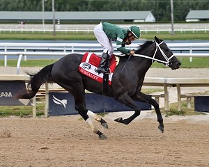 Rated by Merit Aces Florida Sire Stakes Two-Turn Test