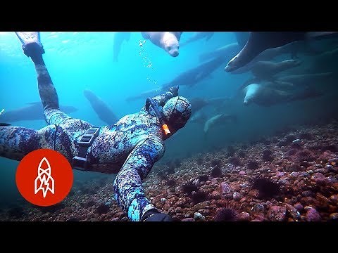 Protecting the Planet with Earth's Guardians