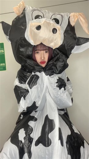 おすすめのアカウント