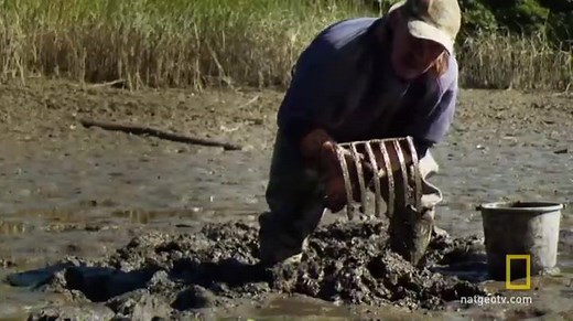 A bloodworms bite can cause a horrible allergic reaction, very similar to a bee sting. Learn more on the premiere of Filthy Riches, 9/8c tonight! | National Geographic TV