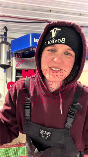 Why Cheese Curds Squeak: The Science Explained