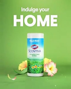 Clorox on Reels | Facebook