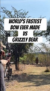 World’s Fastest Bow Ever Made (PSE Full Throttle) VS Grizzly Bear.