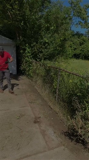 13K views · 221 reactions | ANGRY neighbor has had ENOUGH of the homeowner ruining the look of the neighborhood.#mowing #edging #cleanup #asmr #satisfying #sbmowing #cleaning #overgrownyard #fyp #fypシ #viral | Shanon Gleichner | Facebook