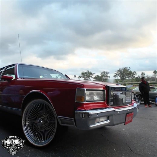 Cleanest box Chevy you ever seen on 22” Daytons ?