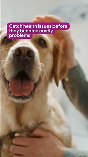 Preventative Care: Act Sooner, Worry Less