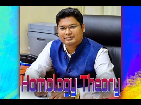 Lecture 4: Homology Theory - Homology Groups of RP2 & RP3