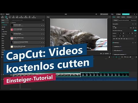 Videos kostenlos schneiden mit CapCut – Tutorial für Videoschnitt-Anfänger