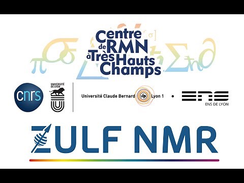 MATLAB for NMR spectroscopists - Session 1 - The basics