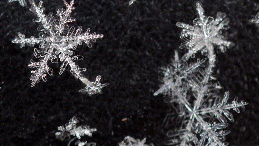 How much snow did we get this season? Check out national snowfall tracker to find out