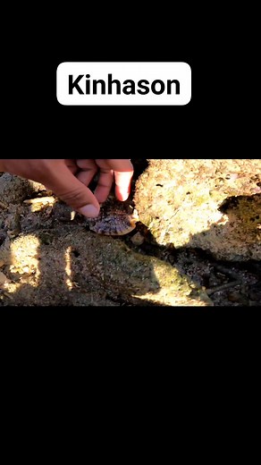 Kinhason is reels | Swasin explorer