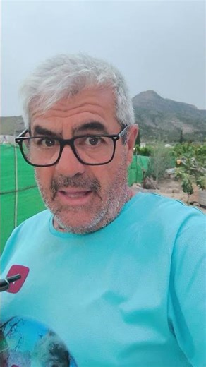 How does timely and proper pruning affect fruit trees? This afternoon on your channel.