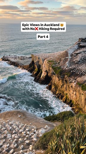 4.7K views · 328 reactions | Another epic spot in Auckland with zero...