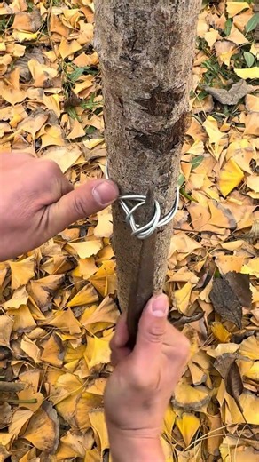 Once tied, this wire binding method will never loosen