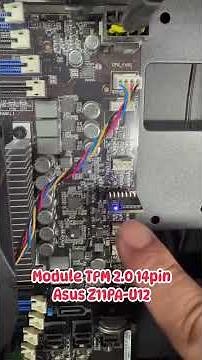 TPM 2.0 Module for Asus Z11PA-U12 Motherboard #module_tpm2.0 #tpm_2.0 #asus_z11pa