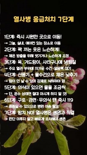 열사병 응급처치 7단계! ㅣ#열사병응급처치 #온열질환 #여름응급처치 #119신고요령#여름건강 #폭염주의보 #생명을지키는7단계 #건강더하기 #쇼츠건강정보 #응급처치필수