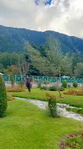 #pahalgam | The Sun Pearls of Pogal Paristan