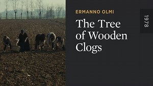 The Tree of Wooden Clogs