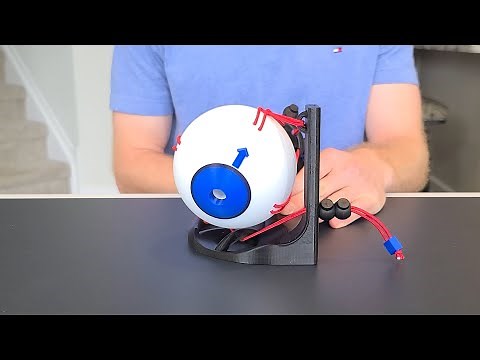 Superior Oblique Muscle Action