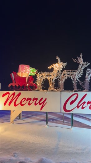 ✨ Sparkle in the Park ✨ in Bear Lake is a sparkling experience you won’t want to miss! #MyManistee #BearLake #PureMichigan | Manistee Tourism