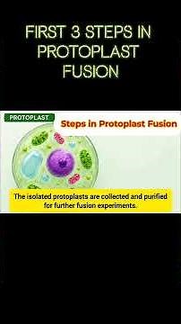 First 3 Steps of Protoplast Fusion 🌱 | Botany Shorts