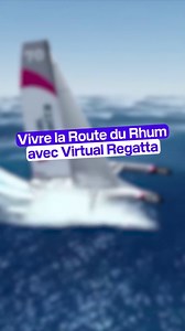 Qu’est-ce que Virtual Regatta ? | BFMTV