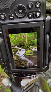 This one from the Smokies sets up perfectly👌 | Mark Denney Photography