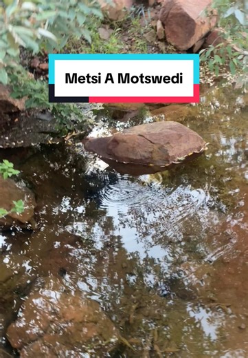 Discover Metsi A Motswedi: Fresh Water Fun in Botswana