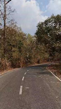 Work Life Balance | Ngo vs Corporate #shorts #vlog