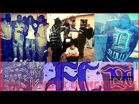 Who are the East Coast Crips? The story of Raymond Lee Washingtons Gang | Money, Murder, and Mayhem