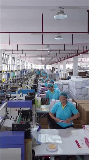 Hospital-Grade Disposable Medical Gloves – Direct from Factory, Even Cheaper!