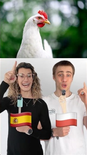 FALSE FRIENDS - POLISH vs SPANISH 🇵🇱🇪🇸 #shorts
