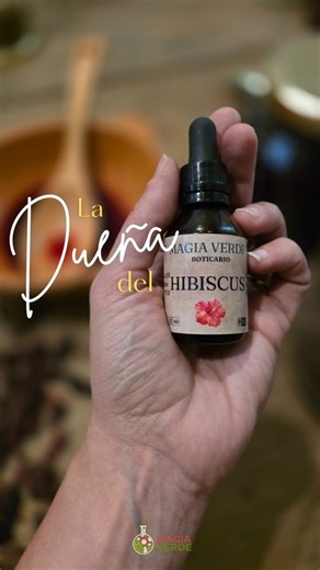 Nati Ovieczka | Mujer Medicina on Instagram: "La tintura madre de hibiscus tiene dueña? 🌺 Nadie puede adjudicarse algo que pertenece al alma de la Tierra Hacer una tintura madre de flores es un gesto tan antiguo como encender el fuego... No tiene patente Tiene linaje El hibiscus, también conocido como flor de Jamaica, guarda en su color la memoria del corazón y de la sangre🩸 💧 Extracto ancestral de hibiscus: 30gr de flores secas de hibiscus 70cc de alcohol de cereal tridestilado 30cc de agua