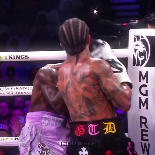 Tank Davis Boxing Highlights