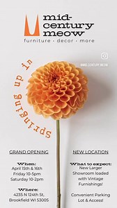 41 reactions · 5 comments | Mid-Century Meow is Springing up in...