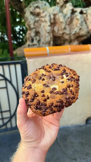 This Cookie was INCREDIBLE!🤩🍪🙌✨ @disneyparks @disneyeats #disneyparks #disneyfood #epcotfood #disneycookies #epcotdesserts | Explore Orlando