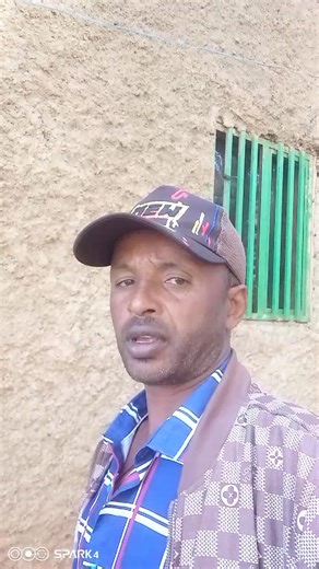 Fayisa Dibaba (@fayisa356)’s videos with original sound - Fayisa Dibaba