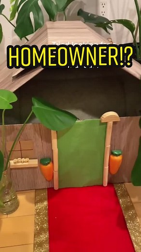 DIY Rabbit Bed with Dome Hideout | Bunny Homeowner Renovation