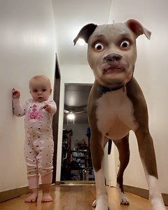 2.1M views · 30K reactions | Some of these camera filters are hilarious...藍 | Tyla | Facebook