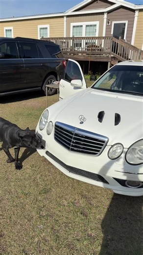 Top W211 Integration Parts for Mercedes Enthusiasts