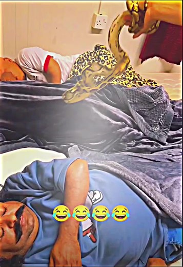 Hilarious Funny Pranks Compilation