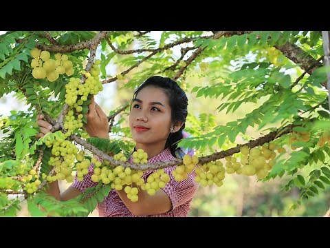 Cooking Surette Cochon fruit with fish salad in my homeland - Polin Lifestyle