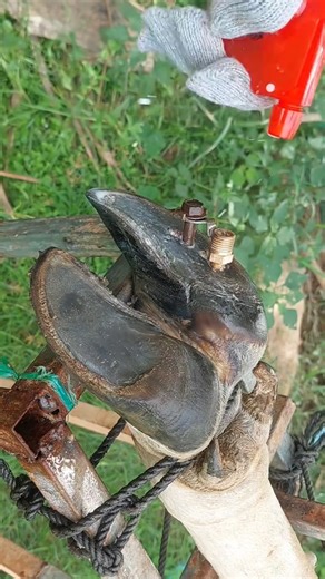 132K views · 918 reactions | Pro Tips for Healthy Hoof Cleaning and Maintenance | Beyond Bytes | Facebook