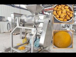 Automatic Mango Pulping Machine