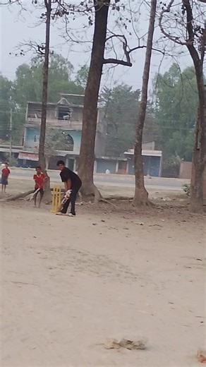 Mastering Bat Sounds: Cricket Practice Essentials