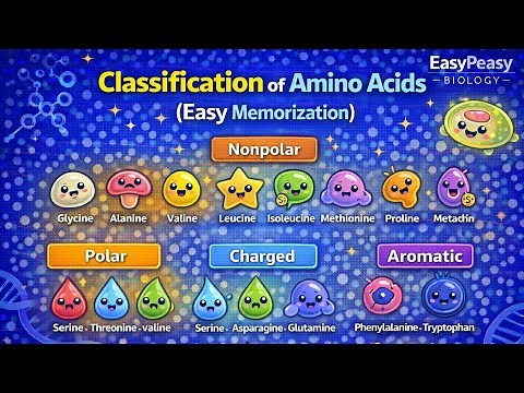 Classification Of Amino-acids (Easy Memorization)