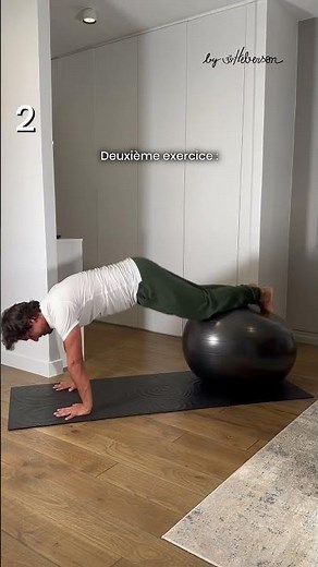 🐶 Chien tête en bas : avec + de confort !