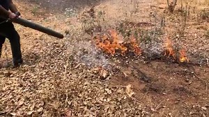 13 shares · 3 comments | The best machine to put off #ForestFires is this high power #blower from #Husqvarna #DepartmentOfForestJammuAndKashmir. | Kashmir Horticulture | Facebook