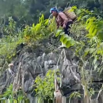 From the forest to the table – pumpkin dishes The taste of the mountains and forests | LT tivi