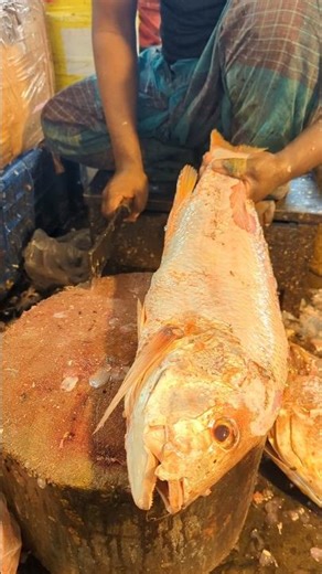 Incredible Koral Fish Cutting Skills at Local Bangladesh Fish Market #shorts